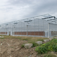Dorisun agricultura tomate película comercial invernadero aluminio grande poli alto túnel marco invernadero
