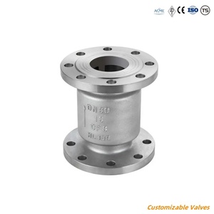 Vanne de contrôle à flotteur en fonte, acier inoxydable, laiton, avec poignée pivotante et contrôleur d'angle - Product Image 2