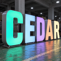 Enseignes lumineuses LED RGB personnalisées en acier inoxydable pour entreprises – Grandes lettres sculptées pour extérieur