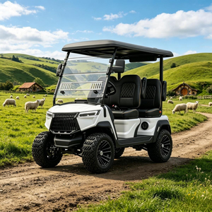 Carrito Eléctrico de Bajo Ruido, Carrito de Golf, Buggy de Golf con Suspensión de Doble Horquilla para Uso en Carreteras No Públicas, DOT CE EEC - Product Image 1