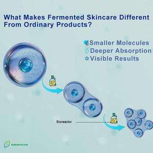 Crema Viso Idratante Rassodante e Lifting Coreana con Polipeptidi Fermentati, Booster Vegano al Collagene con Oli Essenziali Naturali - Product Image 4