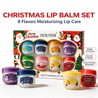 OEM Private Label Kerst Lipbalsem Set PDRN Hydraterende Lipmasker Fruitextract Hydraterende Droge Lipverzorging Cadeauset