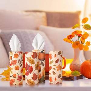 Offre Spéciale conception imprimée personnalisée cylindre biodégradable boîte à mouchoirs voiture tube de papier de soie pour l'activité de propagande cadeau - Product Image 3