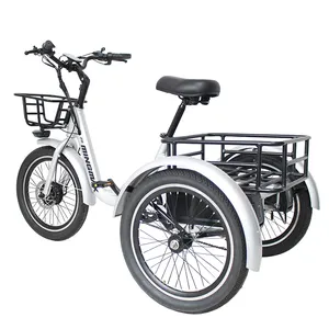 Factory sale 20 inch 36V ebike dual battery OEM custom fat tire electric trike bike tricycles cargo 3wheel for sale