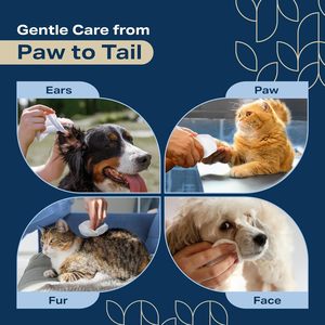 Lingettes nettoyantes pour animaux de compagnie, tissus non tissés doux, lingettes pour le nettoyage quotidien du pelage, des pattes et des oreilles pour chiens et chats, soins quotidiens pour animaux domestiques - Product Image 6