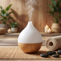Diffuseur d'huiles essentielles moderne et simple, 7 couleurs, lumière chaude, arrêt automatique, sur table, 100 ml, humidificateur ultrasonique USB pour aromathérapie