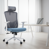 Chaise de bureau exécutive moderne en maille avec design ergonomique et siège confortable