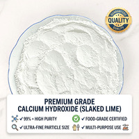 Prix Spécial Usine : Chaux Hydratée Ca(OH)2 pour l'Amélioration des Sols et la Désinfection, Désulfuration des Gaz de Combustion, Hydroxyde de Calcium à 90%