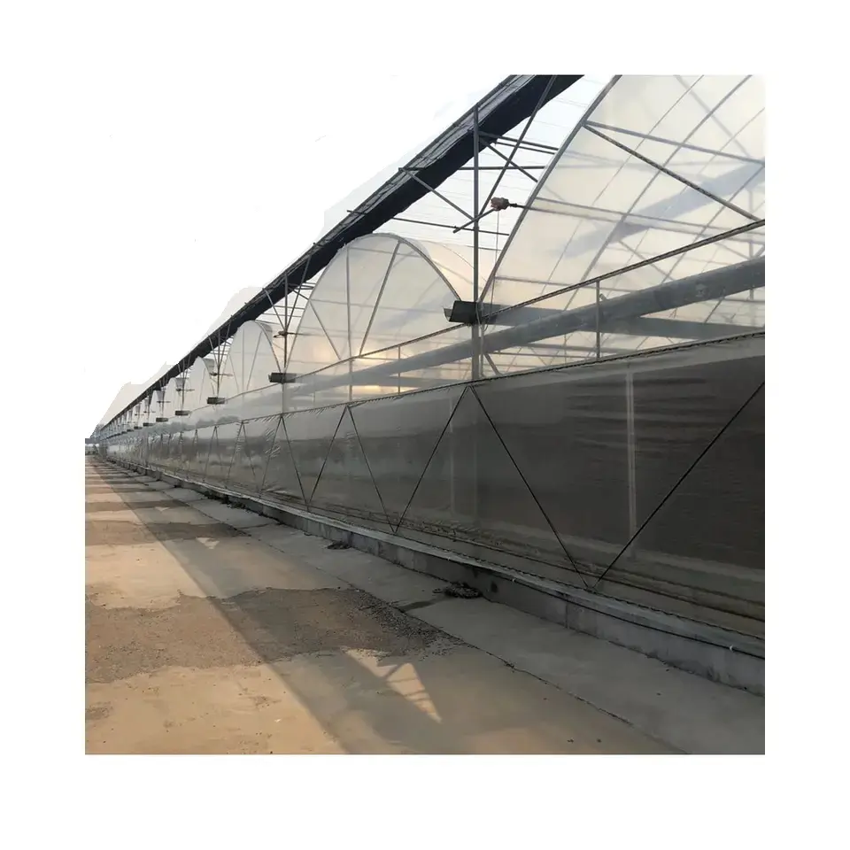 Nhà Máy Giá rau nông nghiệp đường hầm thương mại polythene nhựa nhà kính thép mạ kẽm Skeleton để bán