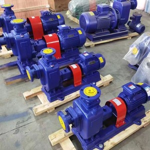Pompe auto-amorçante ZW anti-colmatage pour eaux usées en fonte, résistante à la corrosion, antidéflagrante, à raccordement direct, à bride fendue - Product Image 1