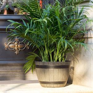 Vente flash : <span class=keywords><strong>Pot</strong></span> de fleurs rond <span class=keywords><strong>en</strong></span> résine plastique, style bonsaï, décoratif, vert <span class=keywords><strong>laurier</strong></span>, pour jardin intérieur et extérieur - Product Image 5