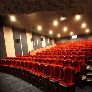 Thiết Kế Mới Rạp Chiếu Phim Ghế Auditorium Seat Hệ Thống Rạp Hát - Product Image 3