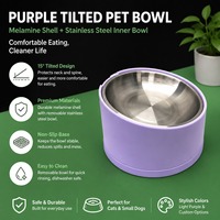 Gamelle inclinée en acier inoxydable massif pour chiens et chats, personnalisable, pour nourriture et eau