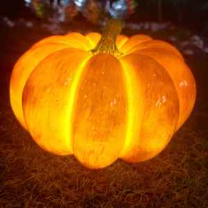 Lampe décorative d'extérieur en forme de citrouille LED pour Halloween, sculpture lumineuse pour parcs et jardins - Product Image 1