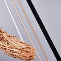 Nouvelle conception, économique, plusieurs couleurs au choix, bande de garniture pour vêtements, bande élastique en nylon, sangle élastique personnalisée en spandex pour la taille