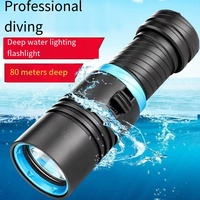 Lampe de plongée LED T6 à focale fixe, longue portée, ultra-lumineuse, étanche, éclairage d'urgence extérieur, portable, indice IP68, USB