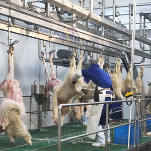 Machine commerciale d'abattage d'abattoir de moutons et de chèvres pour l'abattoir d'agneau équipement d'abattage de boucher - Product Image 2