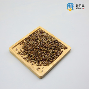 Cina tradizionale erba essiccata semi di <span class=keywords><strong>Cassia</strong></span> singole spezie nero tipo di lavorazione grezza disponibile pezzo Stick - Product Image 2