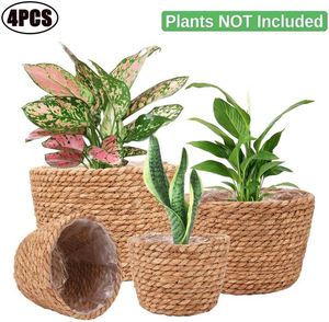 Transparent Food Storage Bread Bin <strong>Basket</strong> Wall Decorations Church Bamboo <strong>Popular</strong> Cute Woven Builder Huge Black <strong>Plastic</strong> <strong>Laundry</strong> - Product Image 3