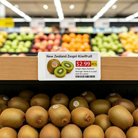 Etiquetas Electrónicas de Estante LEEKA ESL, Fabricante, Larga Duración de Batería, Etiqueta Digital ABS, Precios, Resistentes al Agua IP65, 4 Colores para Supermercado