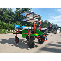 Machine automatique de transplantation de plants de tomates pour assistant agricole, semoirs et transplanteurs de poivrons, machine à planter les graines