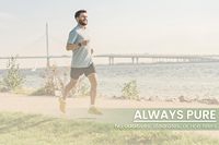Capsules d'extrait de palmier nain (Saw Palmetto) à marque privée OEM pour la prostate et la croissance capillaire, 500 mg, 60 gélules/flacon, Énergie pour adultes
