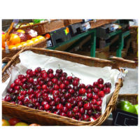 Collation aux fruits frais extra large sur mesure de la cerise moderne dernière qualité douce juteuse vitamine riche Compliment sain du Shandong