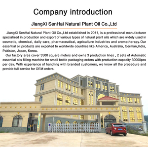 Nhanh Chóng Chúng Tôi Vận Chuyển Trang Trí Nhà Dầu Thơm 200Ml Reed Khuếch Tán Refill Chai Sang Trọng Reed Khuếch Tán Dầu Refill Dầu - Product Image 5