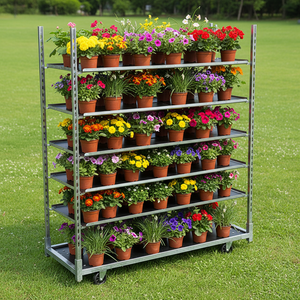 <span class=keywords><strong>Chariot</strong></span> à fleurs danois avec étagère amovible, <span class=keywords><strong>chariot</strong></span> à quatre roues en acier, capacité de 100 kg, outils d'extérieur, personnalisable OEM - Product Image 5