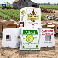 Contenants en plastique PP écologiques pour l'exportation de fruits (agrumes, poires et produits de saison)