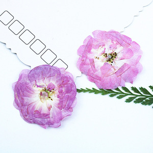 DIY本物の押し花ライトピンクパープルローズ、ナチュラルモーブローズの花、キャンドル作り、石鹸の埋め込み、エポキシ樹脂工芸装飾用 - Product Image 5