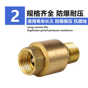 Clapet anti-retour 1 pouce, filetages interne et externe, structure à une seule palette, pour eau du robinet, type traversant - Product Image 5