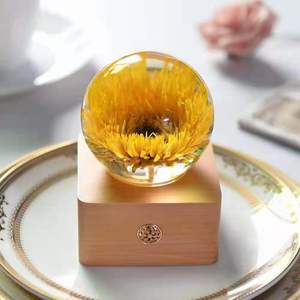 USB Powered Bất Bồ Công Anh Nhựa Bóng Hoa Thủ Công Pha Lê Ánh Sáng Ban Đêm Tâm Trạng Đèn Cho Trẻ Em Phòng Ngủ Trang Trí Nội Thất Quà Tặng - Product Image 5