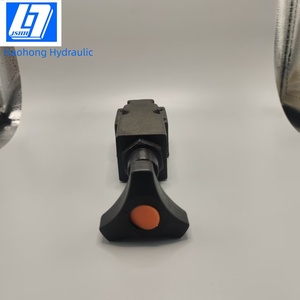 Valvola di Controllo della Pressione Haohong <span class=keywords><strong>DG</strong></span>-02 250bar 16L/min Unidirezionale Porta 1/4 Personalizzabile OEM Idraulica in Ghisa DT02 Garanzia di 1 Anno - Product Image 6