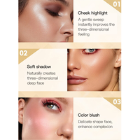 Fond de teint de luxe 3 en 1 en marque propre, poudre minérale pressée professionnelle, contouring, surlignage, éclaircissement, anti-cernes longue durée