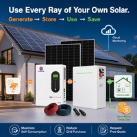 Batería de Litio Solar Lifepo4 de 48V 51.2V 200Ah 10Kwh 15Kwh 20Kwh 30Kwh para Panel Solar, Montada en Pared