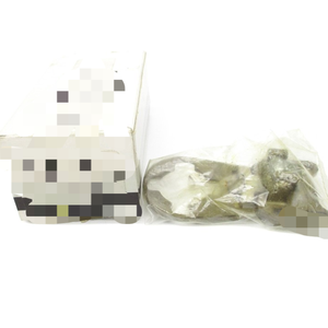 9001tm1 Ser. a Nsmp Nouveau stock prêt d'origine Automatisation industrielle Pac Contrôleur de programmation Plc dédié - Product Image 1