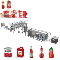 Fabrieksaanpasbare industriële tomatenketchupverwerkingslijn met hoge efficiëntie, kleine investering, 10-600 ton per dag