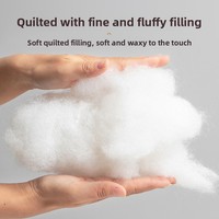 Lit pour animaux de compagnie moderne en soie glacée rafraîchissante d'été, style canapé, avec tapis respirant amovible et lavable, et soutien cervical pour chiens et chats de petite/moyenne taille