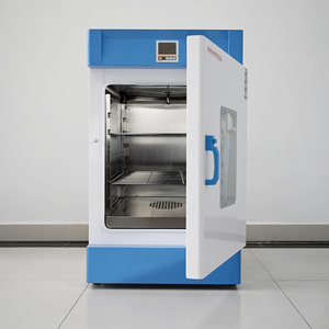 Incubadora de Laboratorio Vertical de 65 °C, Serie DHP, Incubadora de Temperatura Constante de Acero Inoxidable - Product Image 6