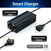 Chargeur de batterie pour véhicule électrique 48V 5A pour vélos électriques/trottinettes/motocyclettes, puissance de sortie 600W avec ports AC/DC