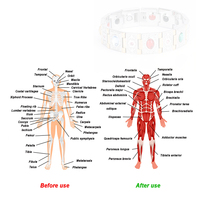 Bracelet ajustable anti-fatigue en acier titane magnétique populaire pour femme