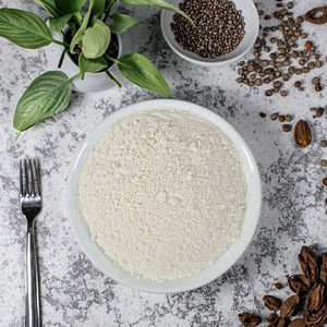 Polvo de Germen de Arroz de Alta Calidad con 60% de Contenido de Germen para Alimentos Pediátricos, Nutrición Clínica, Bajo Riesgo de Alergia, en Lata/Botella - Product Image 1