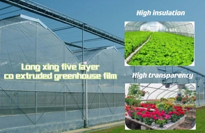 Film de serre agricole en PE tissé résistant aux UV, <span class=keywords><strong>prix</strong></span> compétitif, directement de l'usine - Product Image 3