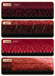 OEM/ODM Easy Clean Luxury 3D Car Foot Pad Tpe Car <strong>Floor</strong> <strong>Mats</strong> for BYD <strong>Dolphin</strong> Rhd Right Hand Drive TPE <strong>Floor</strong> <strong>Mats</strong> - Product Image 3