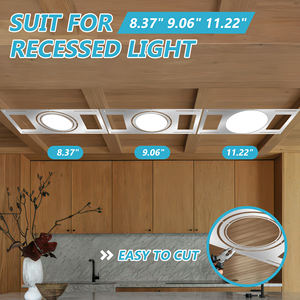 एलईडी पैनल लाइट के लिए मॉड्यूलर लौह माउंट ड्रॉप छत तैयार त्वरित-रिलीज डिजाइन - Product Image 2