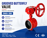 Vanne papillon rainurée DN65-DN300 PN16 en fonte ductile à commande par vis sans fin pour système d'alimentation en eau de protection incendie