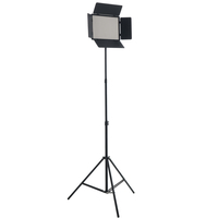 Panneau lumineux LED portable professionnel P700 pour studio vidéo, photographie continue, vidéo, TikTok, YouTube, jeux en direct