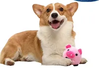 Jouet interactif pour chien écologique, balles rebondissantes en peluche, rechargeables, lavables, cochon de dessin animé, son électronique