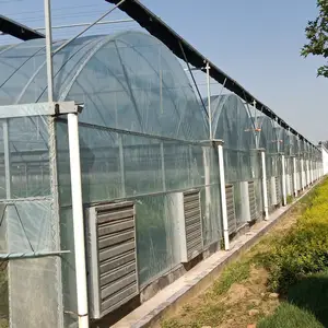 multi span dome type green house with insect net
